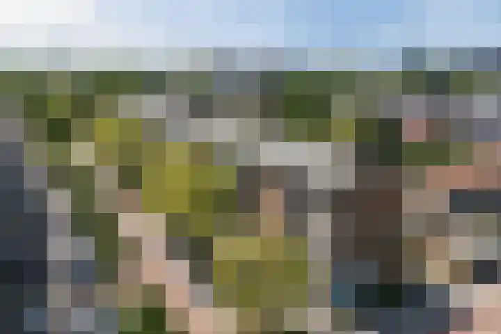 Ruygenhoeklaan 3 1 Utrecht thumbnail 46