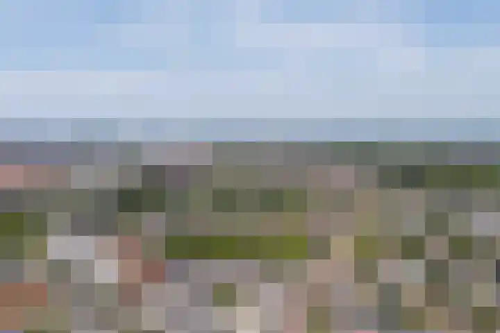 Ruygenhoeklaan 3 1 Utrecht thumbnail 47