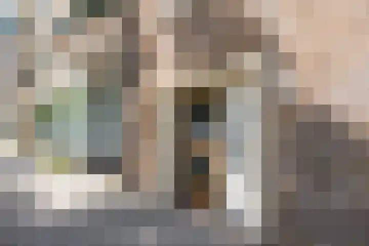 Ruygenhoeklaan 3 1 Utrecht thumbnail 6