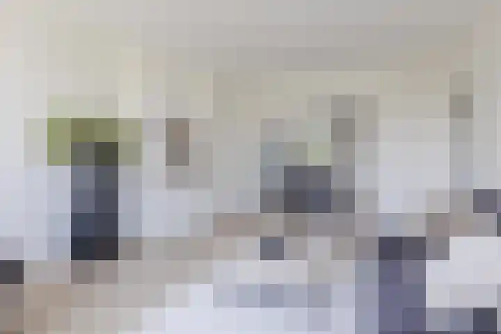 Ruygenhoeklaan 3 1 Utrecht thumbnail 61