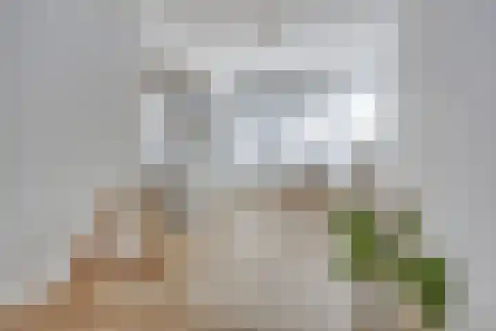 Ruygenhoeklaan 3 A Utrecht thumbnail 12