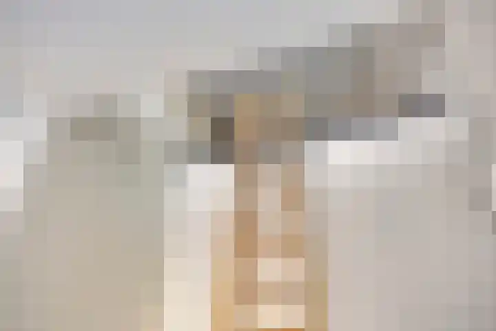 Ruygenhoeklaan 3 A Utrecht thumbnail 23