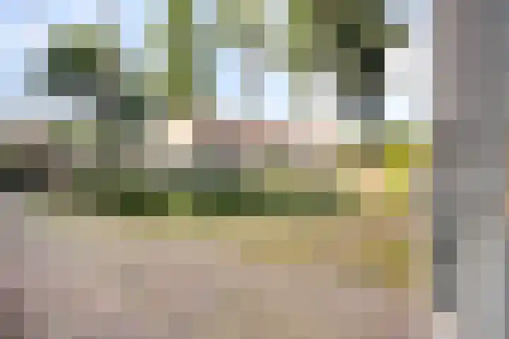 Ruygenhoeklaan 3 A Utrecht thumbnail 24