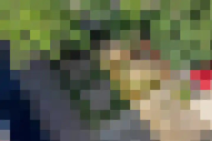 Ruygenhoeklaan 3 A Utrecht thumbnail 25
