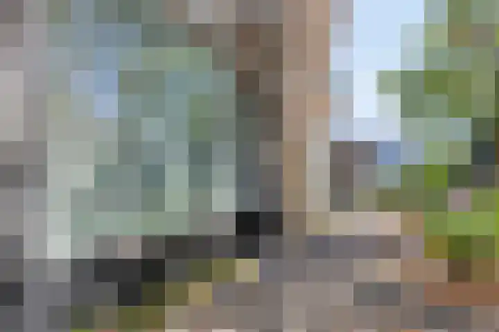 Ruygenhoeklaan 3 A Utrecht thumbnail 28