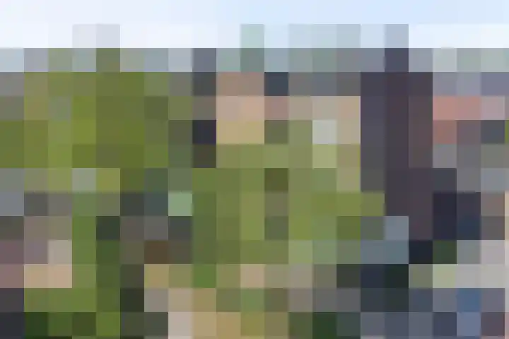 Ruygenhoeklaan 3 A Utrecht thumbnail 29
