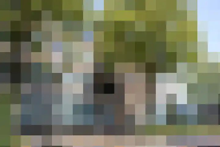 Ruygenhoeklaan 3 A Utrecht thumbnail 31
