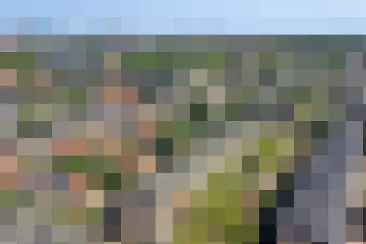 Ruygenhoeklaan 3 A Utrecht thumbnail 32