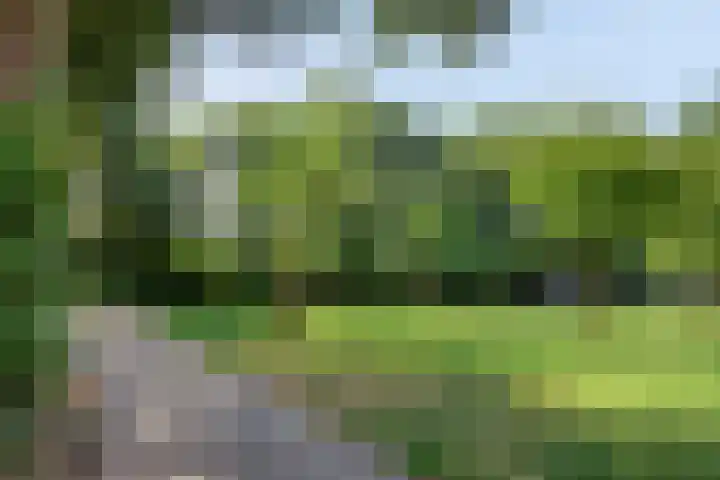 Ruygenhoeklaan 3 A Utrecht thumbnail 35
