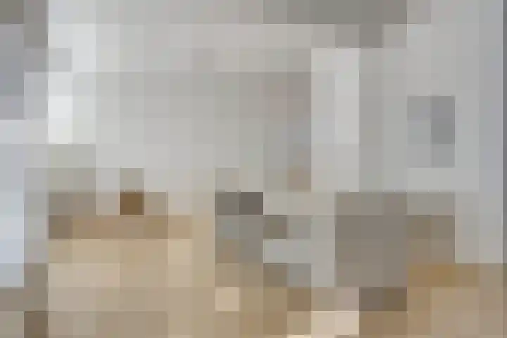 Ruygenhoeklaan 3 A Utrecht thumbnail 4