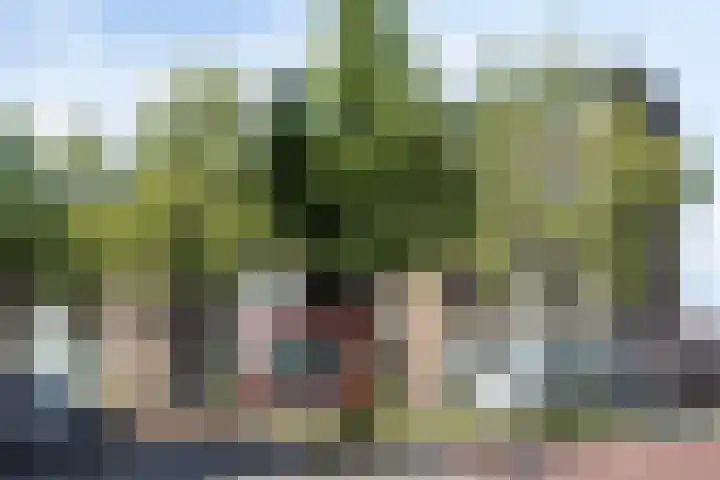 Ruygenhoeklaan 3 A Utrecht thumbnail 44
