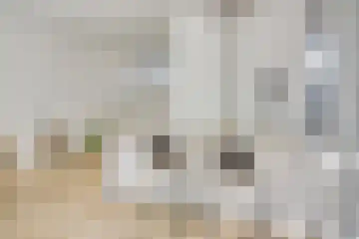 Ruygenhoeklaan 3 A Utrecht thumbnail 5