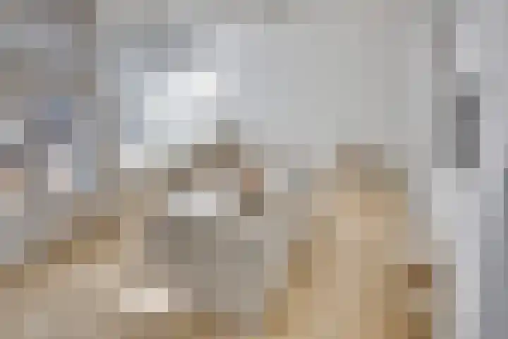 Ruygenhoeklaan 3 A Utrecht thumbnail 6