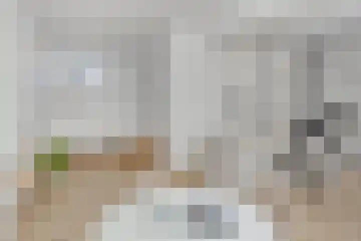 Ruygenhoeklaan 3 A Utrecht thumbnail 7