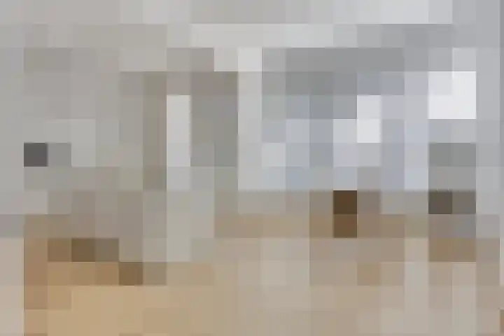 Ruygenhoeklaan 3 A Utrecht thumbnail 8
