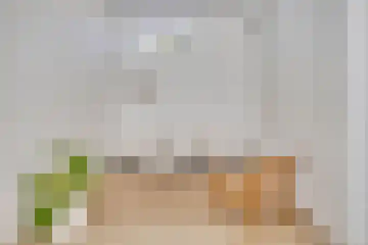 Ruygenhoeklaan 3 A Utrecht thumbnail 9