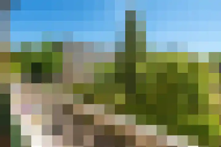 Ruygenhoeklaan 4 1 Utrecht thumbnail 12
