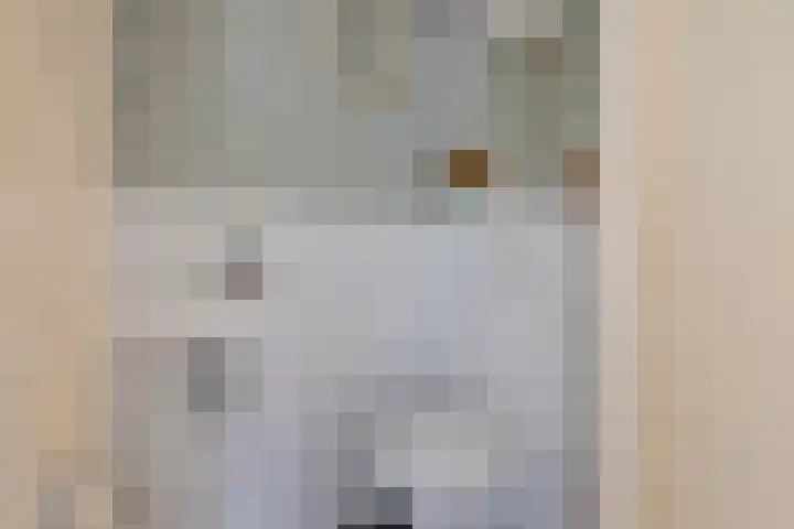 Ruygenhoeklaan 4 1 Utrecht thumbnail 20