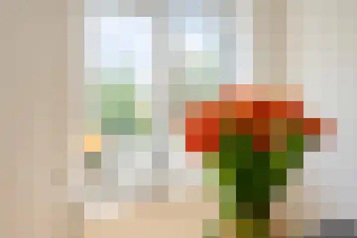 Ruygenhoeklaan 4 1 Utrecht thumbnail 22