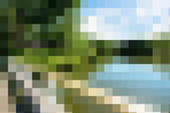 Ruygenhoeklaan 4 1 Utrecht thumbnail 25