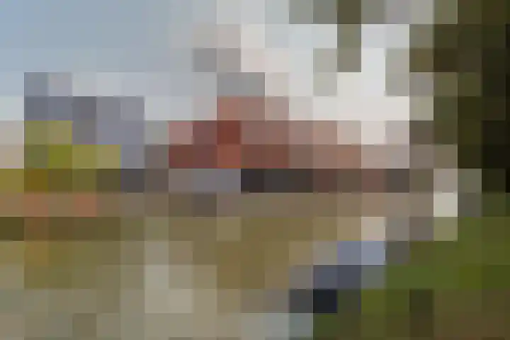Ruygenhoeklaan 4 1 Utrecht thumbnail 26