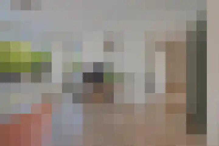 Ruygenhoeklaan 4 1 Utrecht thumbnail 5