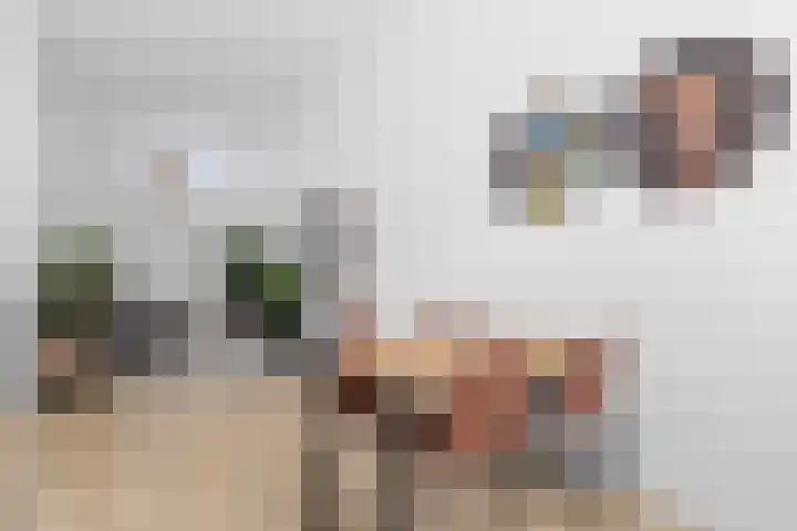 Ruygenhoeklaan 5 A Utrecht thumbnail 14