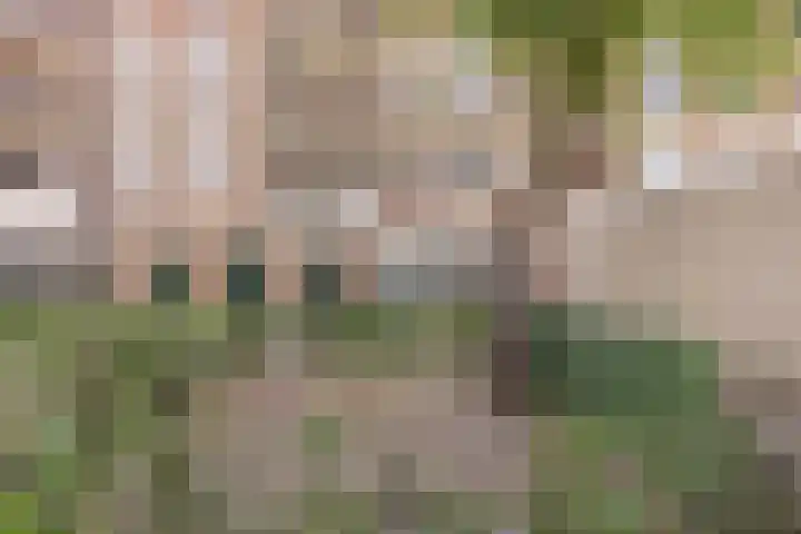 Ruygenhoeklaan 5 A Utrecht thumbnail 27
