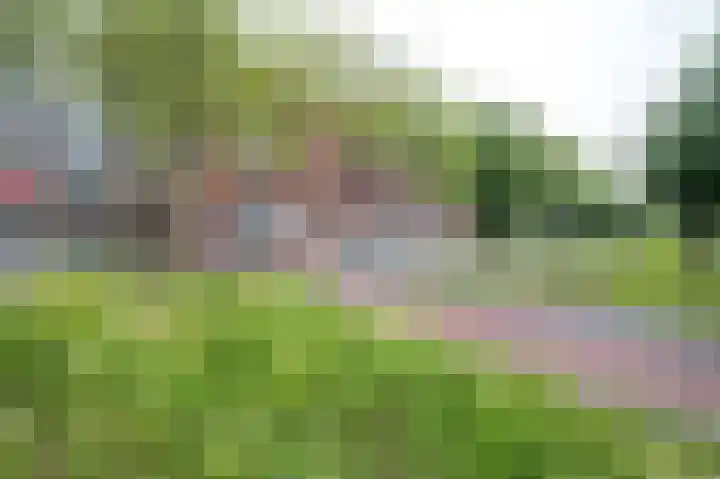 Ruygenhoeklaan 5 A Utrecht thumbnail 33