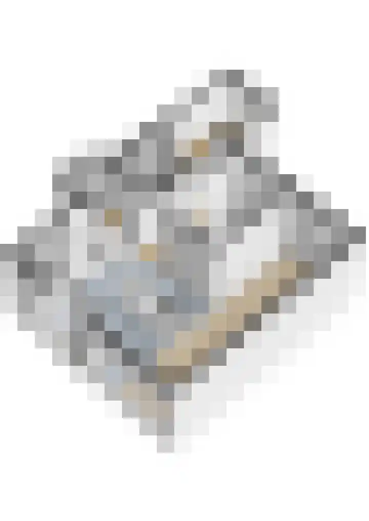 Ruygenhoeklaan 5 A Utrecht thumbnail 38