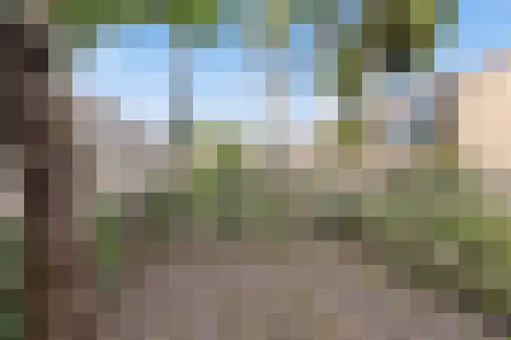 Ruygenhoeklaan 5 A Utrecht thumbnail 4