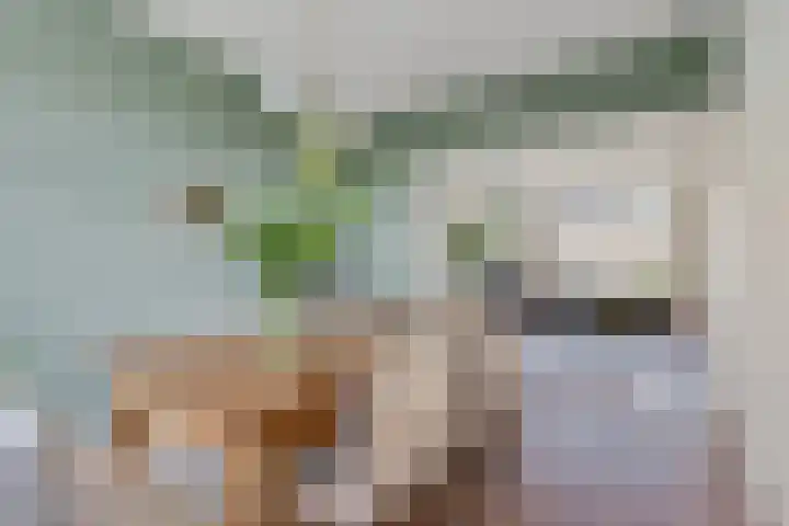 Ruygenhoeklaan 9 1 Utrecht thumbnail 10