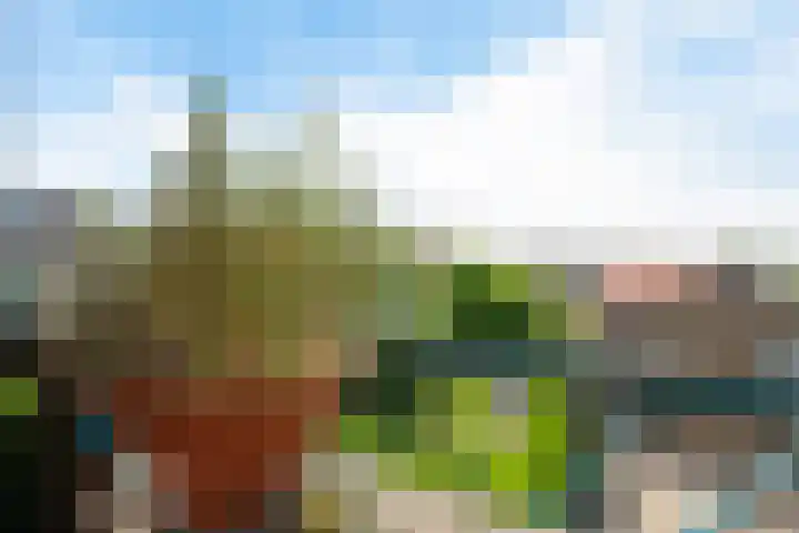 Ruygenhoeklaan 9 1 Utrecht thumbnail 15
