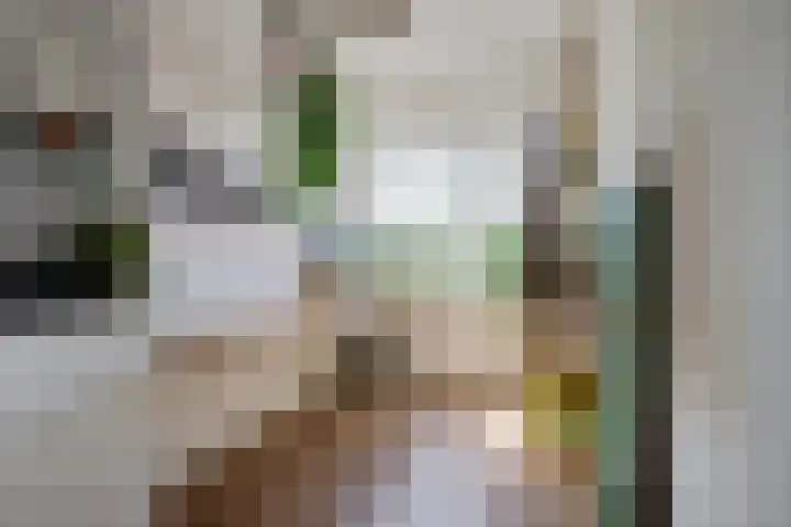 Ruygenhoeklaan 9 1 Utrecht thumbnail 24