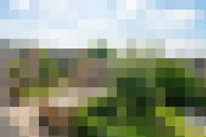 Ruygenhoeklaan 9 1 Utrecht thumbnail 26