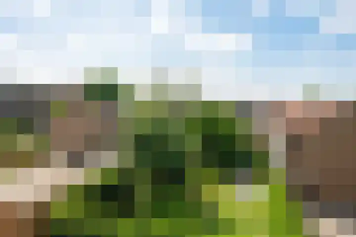 Ruygenhoeklaan 9 1 Utrecht thumbnail 27