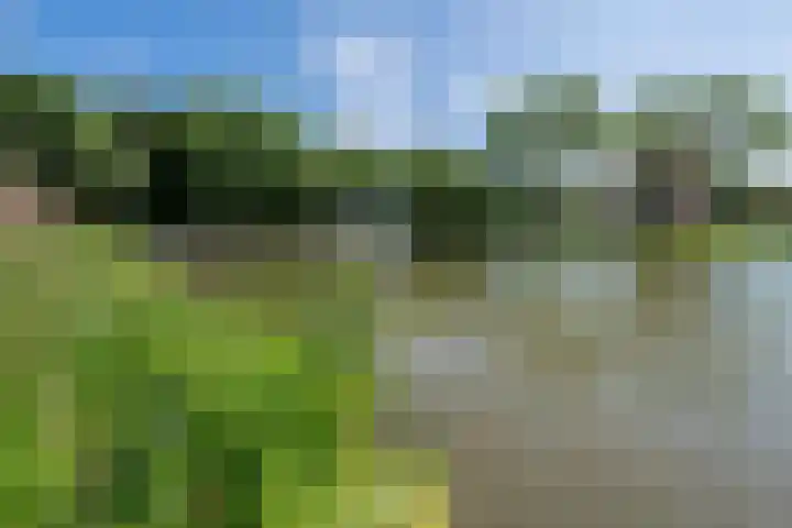 Ruygenhoeklaan 9 1 Utrecht thumbnail 30