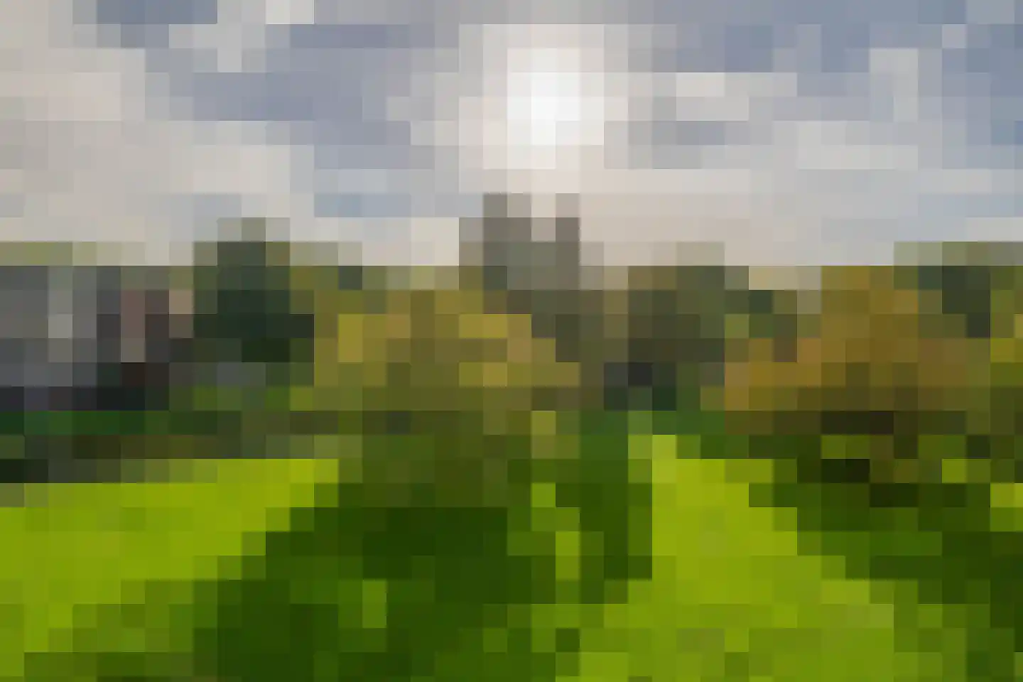 Ruygeplaat 117 Rozenburg thumbnail 10