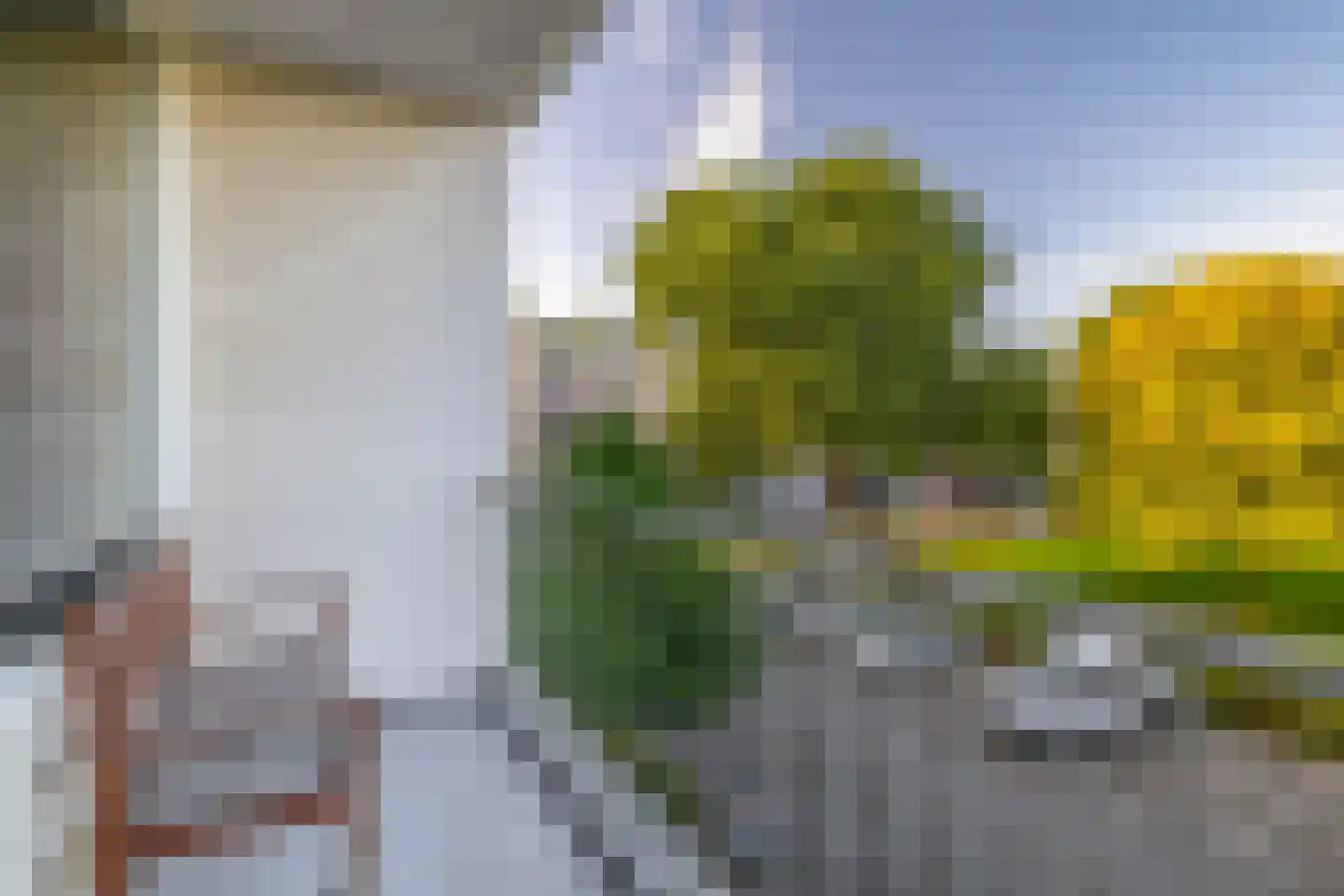 Ruygeplaat 117 Rozenburg thumbnail 32