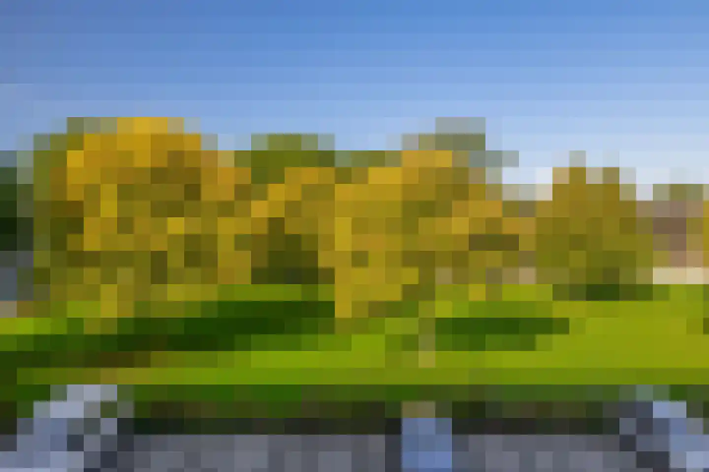 Ruygeplaat 117 Rozenburg thumbnail 34