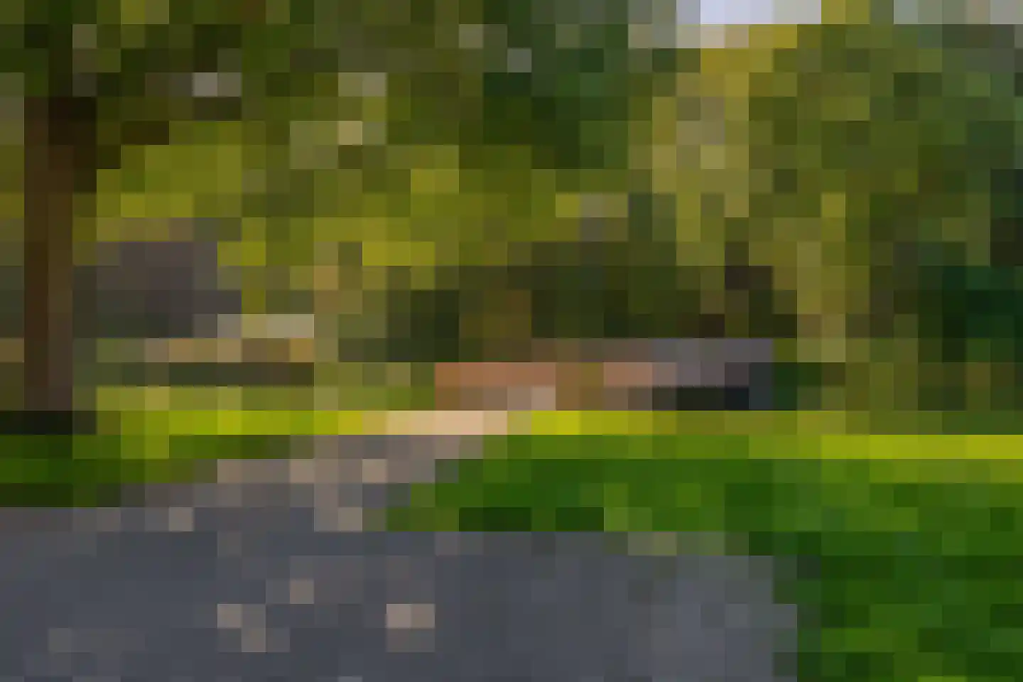 Ruygeplaat 117 Rozenburg thumbnail 42