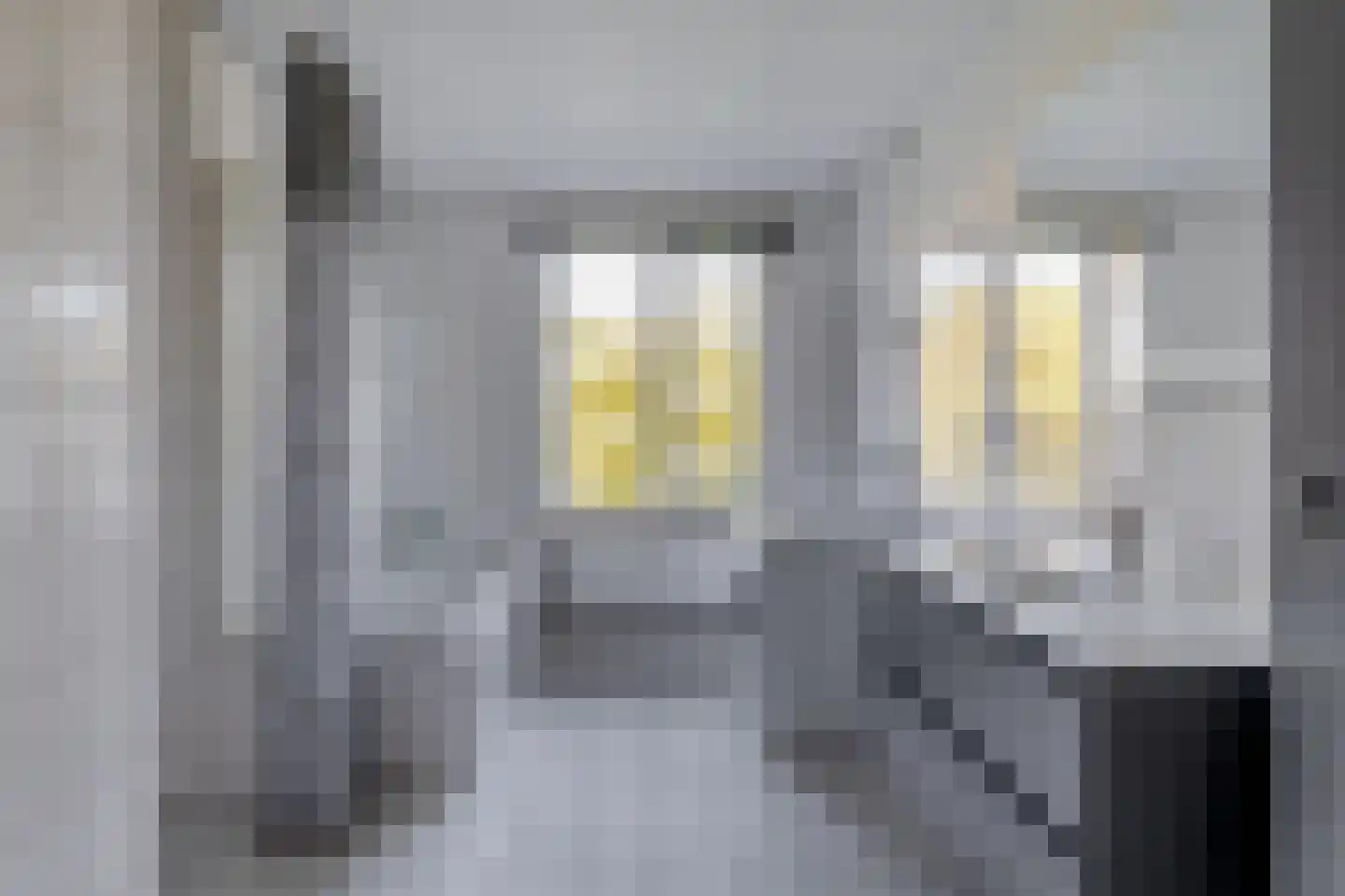 Ruygeplaat 117 Rozenburg thumbnail 7