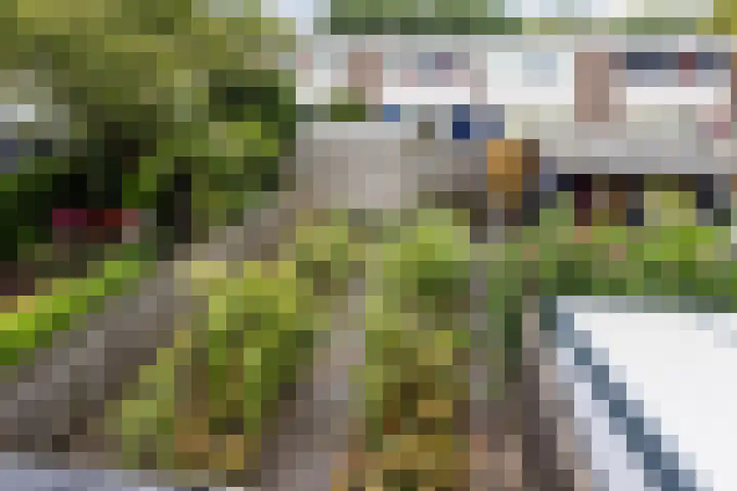 Ruygeplaat 13 Rozenburg thumbnail 22
