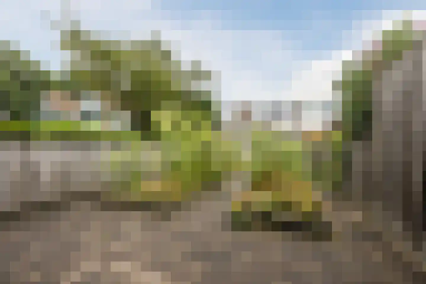 Ruygeplaat 13 Rozenburg thumbnail 23