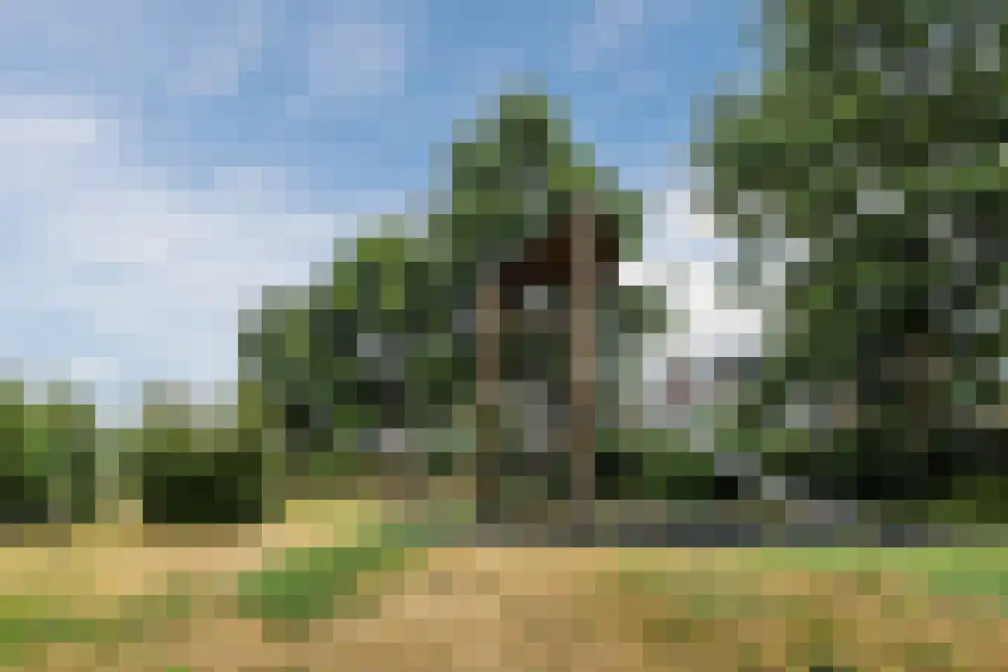 Ruygeplaat 13 Rozenburg thumbnail 27