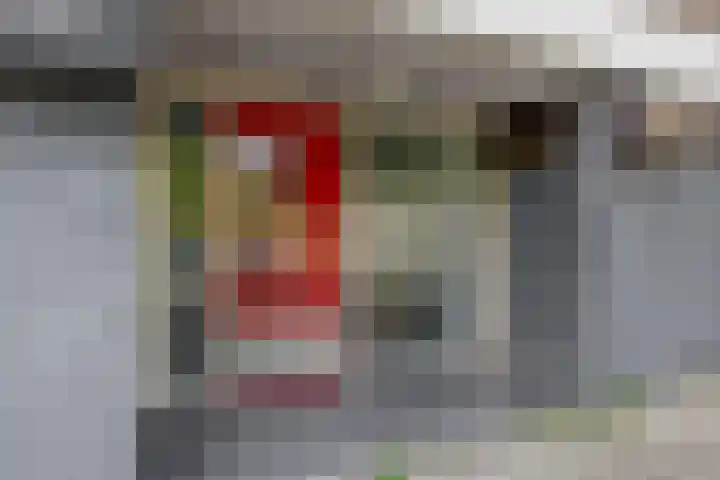 Ruygeplaat 153 Rozenburg thumbnail 10