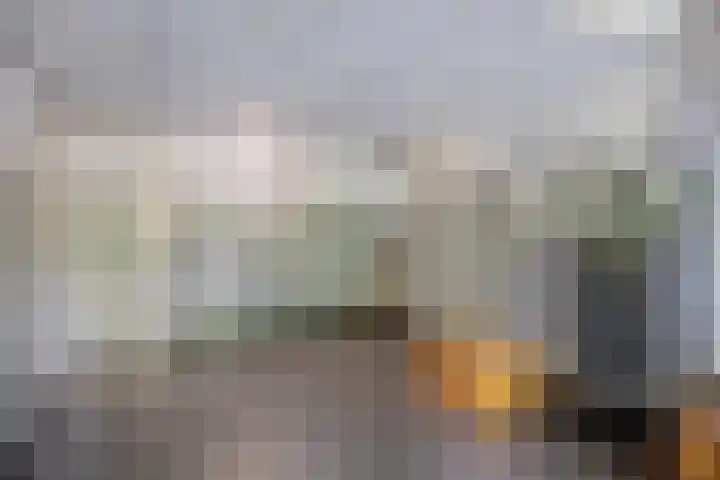 Ruygeplaat 153 Rozenburg thumbnail 11