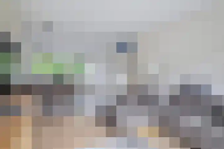 Ruygeplaat 153 Rozenburg thumbnail 21