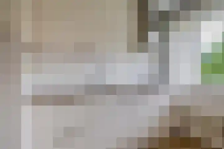 Ruygeplaat 153 Rozenburg thumbnail 27