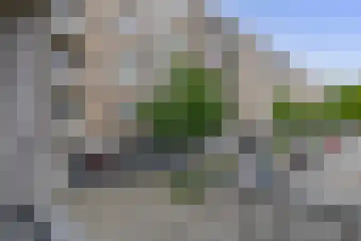 Ruygeplaat 153 Rozenburg thumbnail 38
